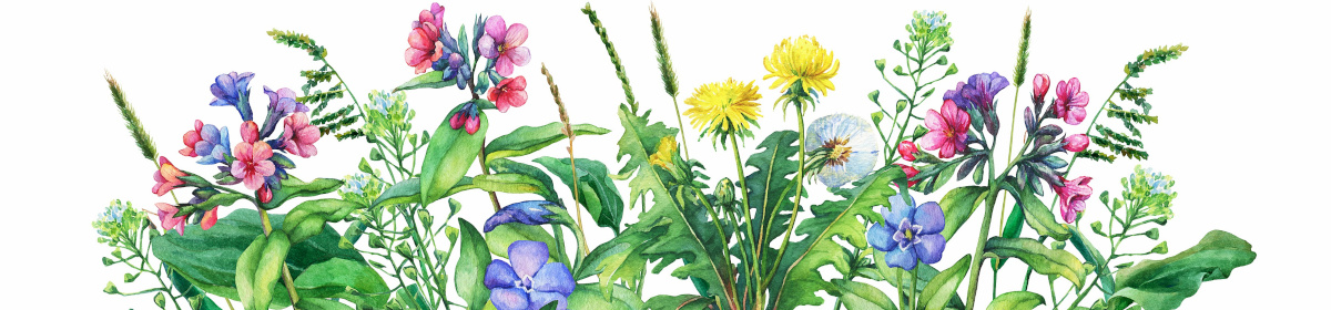 Konopne mazani maść konopna MedicProgress